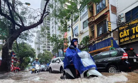 Thoát cảnh ngập lụt từ một điều lạ, bài học đắt giá khi mua nhà