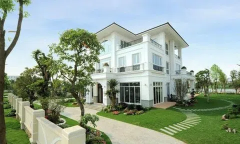 Nhà trồng 4 cây này thì giữ cho kỹ, gia chủ không giàu cũng khó mà nghèo, chặt đi là mất lộc ngay