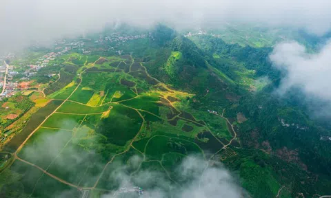 Điểm miền núi phía Bắc nhiều người đang rủ nhau đi: Càng cuối năm càng đông, có đặc sản "hiếm" ở Việt Nam