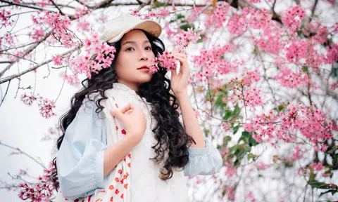 Sắc hồng phủ kín cao nguyên, vạn vật đều thua mùa hoa này ở Đà Lạt