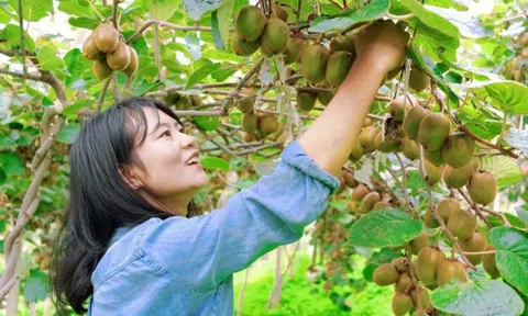 Lớn rồi mới biết: Người dạy tôi cách giàu lên không phải thầy tài chính, mà là mẹ tôi ở quê