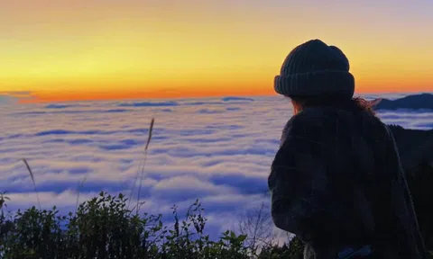 Điểm săn mây ở Sơn La vào danh sách 26 điểm đến "bí ẩn", khách nên tới năm 2026