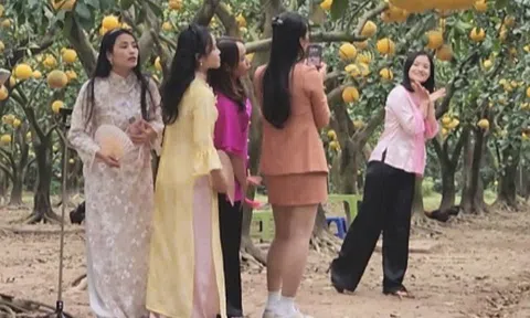 "Check-in", săn lùng đặc sản tại thủ phủ bưởi Diễn