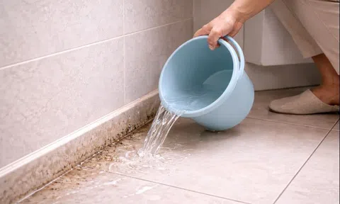 Mẹ tôi truyền bí quyết: Dội nước vào góc nhà này mỗi tuần - muỗi, kiến giảm hẳn mà không cần thuốc