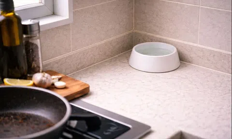 Mẹ tôi dạy: Chỉ cần đặt một bát nước ở bếp - mùi chiên xào bay nhanh hơn hẳn mà không cần máy hút mùi