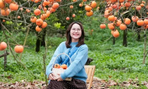 Săn hoa đào sớm ở miền Bắc: Tà Xùa "thêm gói" ngắm mây, đi Hà Giang tiện chụp áo dài