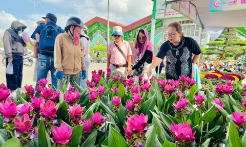 Giống hoa lạ khiến nhiều người tìm về Làng hoa Sa Đéc để mua bằng được