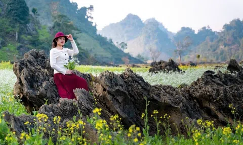 Ngôi làng đậm chất thơ cách Hà Nội 200km, chụp ảnh đẹp "miễn chê"