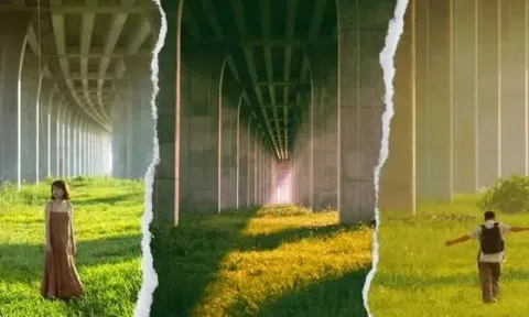 Lạc vào chốn “tuyệt đối điện ảnh” tại Đồng Tháp: Đồng cỏ xanh mướt đẹp ngỡ ngàng