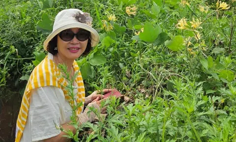 Ở tuổi 50, tôi đã không quá khủng hoảng khi nghĩ đến nghỉ hưu: Tất cả bắt đầu từ 500.000 đồng/tháng cách đây 10 năm