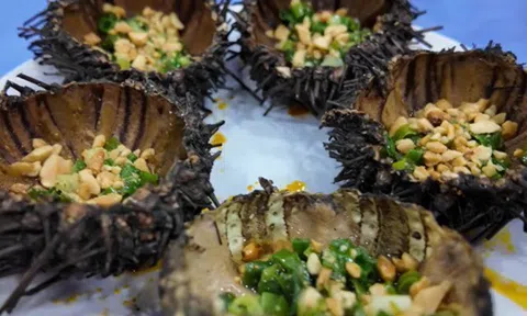 Khách nước ngoài thích thú thử món được ví như "nhân sâm của biển" ở Việt Nam