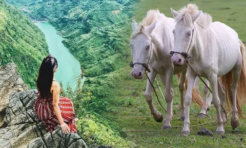 Ở Hà Nội nơi nào là một trong "Thăng Long tứ trấn"? Đâu là dòng sông có nước chảy xiết như "ngựa phi"?