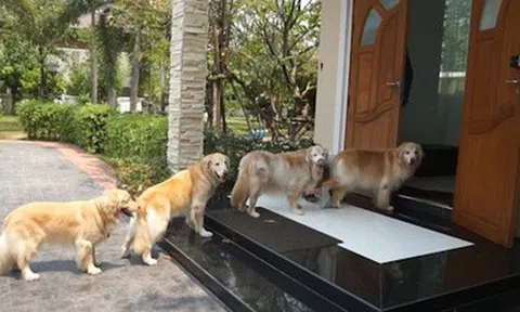 Cận Tết 2026: Nhà có 6 điều này báo hiệu điềm lành, vận khí khởi sắc