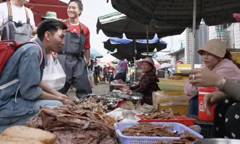 Khoai Lang Thang làm gì nên tội khiến dân mạng đồng loạt đòi đuổi về gấp
