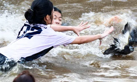 Trai gái làng gốm ở Hà Nội ngụp lặn săn "lộc vịt" đầu xuân