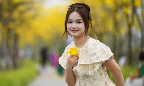 Đổ xô check-in đường hoa phong linh rực rỡ nhất Thủ đô