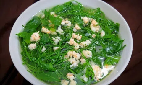 Việt Nam có 4 loại rau đặc sản hiếm, đắt hơn cả thịt cá, muốn mua không phải lúc nào cũng có