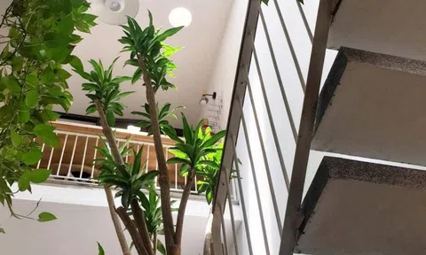 Ông bà dặn: Nhà có 4 dấu hiệu này đừng bao giờ bán, càng ở càng giàu, con cháu tha hồ hưởng lợi