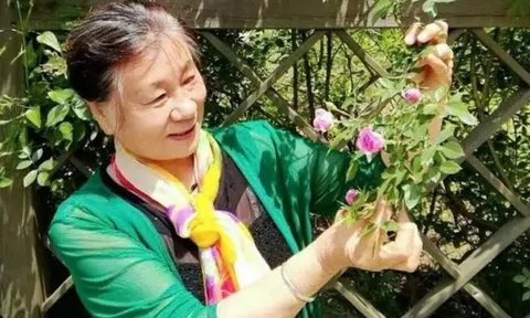 Sân 60m² giữa phố trồng hàng trăm loại rau: Cuộc sống hưu trí khiến nhiều người ước ao vì mỗi ngày ăn một loại rau khác nhau