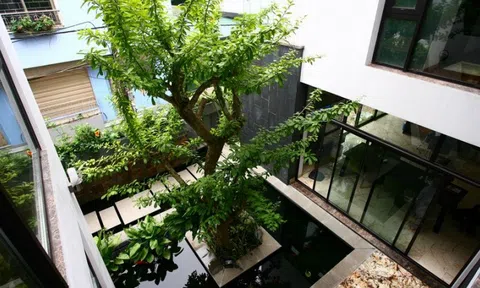 Ông bà dặn: Nhà xuất hiện 6 dấu hiệu này chứng tỏ rất lộc, càng ở càng lãi, tuyệt đối đừng bán