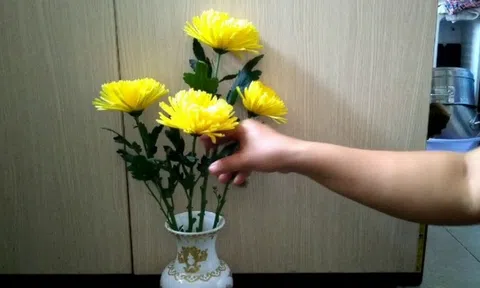 Cảnh báo đặc biệt tới các gia đình đang cắm hoa cúc trên bàn thờ ngày Rằm, mùng 1