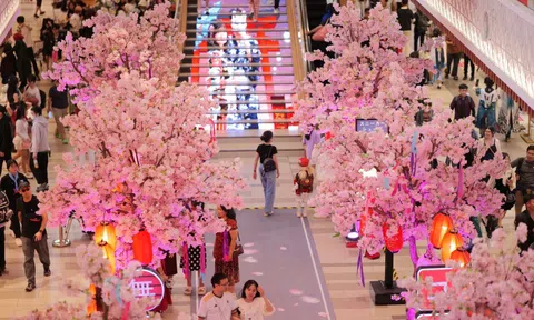 "Kawaii Japan": Gợi ý cuối tuần cho cả nhà khám phá lễ hội Nhật Bản tại phường Bình Dương, TPHCM