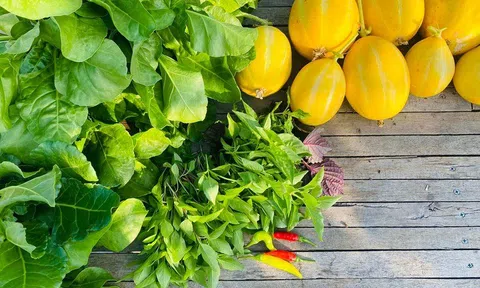 Cận cảnh khu vườn "2 trong 1" trên tầng 5, nuôi cá trồng rau khép kín, thu hoạch cả nửa tạ dưa lưới