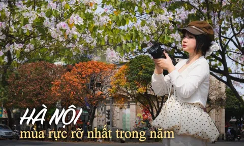 Ăn chơi cho hết tháng Giêng, mùa săn hoa đã đến khiến cả Hà Nội đứng ngồi không yên