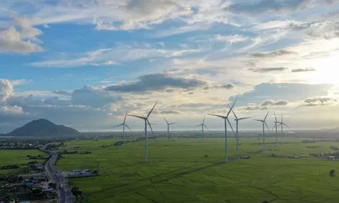 Đẹp lịm tim hoàng hôn ở cánh đồng điện gió