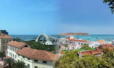 Người Nhật sở hữu 29.000km bờ biển nhưng vẫn nườm nượp sang Việt Nam tìm thứ quê nhà hiếm có