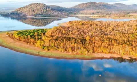 Đẹp ngỡ ngàng rừng khộp mùa thay lá