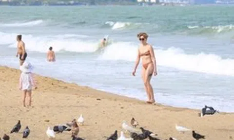 Cảnh tượng chim bồ câu níu chân du khách ở bãi biển Nha Trang