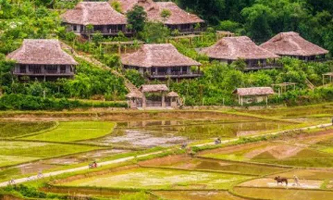 Cách Hà Nội không xa có một nơi được ví như “nàng thơ Tây Bắc”, tha hồ “chữa lành” với 8 điểm dừng chân lý tưởng