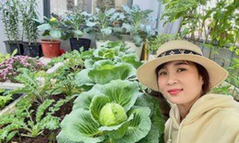 Ngắm khu vườn sân thượng “mùa nào thức nấy” rộng 85m2 của gia đình Đà Nẵng