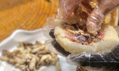 Đặc sản Điện Biên có món nhiều người ngại thử, có món được ví như "thần dược"