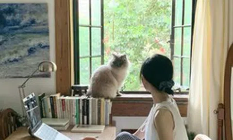 Vì sao ngày càng nhiều người chọn sống ở tầng hai? Sau khi ở thử, nhiều người thừa nhận: “Quyết định đáng giá nhất”