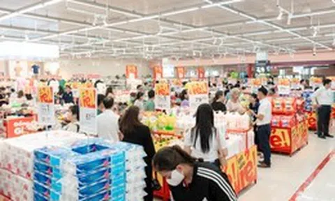 WCM tăng tốc mạnh đầu năm 2026: Doanh thu tăng hơn 32%, mở mới 145 cửa hàng, bám sát kịch bản tăng trưởng cao