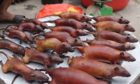 Đặc sản chỉ có ở Tuyên Quang, nhìn "sợ khiếp vía" nhưng thơm ngon khó cưỡng, giá 90.000 đồng/kg