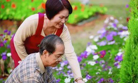 Lương hưu hơn 6 triệu/tháng: Sau một trận ốm, tôi mới hiểu giá trị tài chính thật sự của khoản tiền tưởng nhỏ