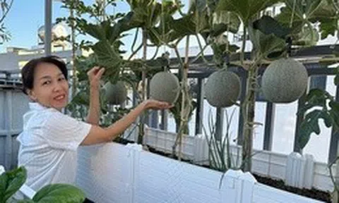 Vợ chồng ở TP.HCM gây sốt với khu vườn trên sân thượng, vừa có rau sạch ăn, vừa là nơi "hâm nóng" tình cảm cực lãng mạn