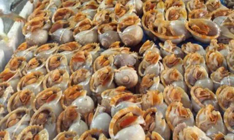 Đặc sản có tên vô cùng lạ, xưa rẻ như cho nay dân thành phố ưa chuộng vì hương vị đặc biệt, giá đắt đỏ