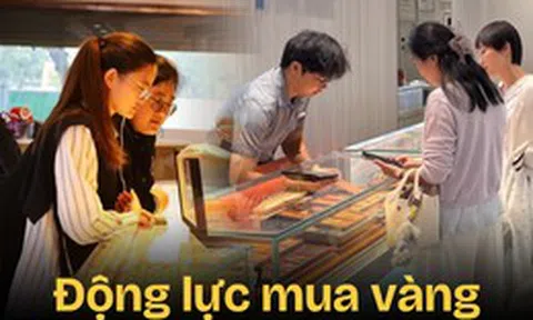 Mua nhà thì quá sức, đầu tư lại chẳng hiểu gì, chỉ có mua vàng mới giúp dân công sở cảm thấy khá hơn