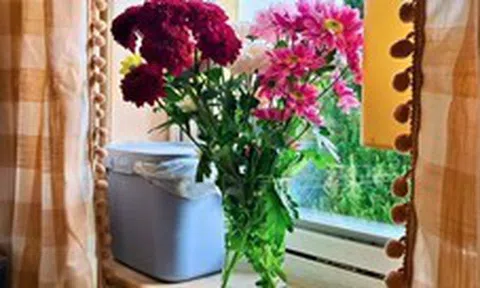 Mua hoa về cắm, đừng bao giờ đặt ở vị trí này trong nhà