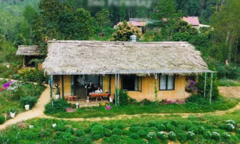 Bản làng xanh mát cách Hà Nội 250km, khách vượt xa đến hái rau, tự nấu cơm