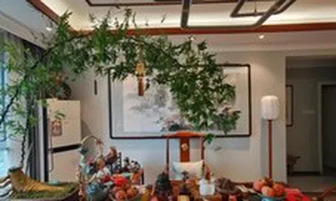 Ông bà dặn kỹ: 6 vị trí trong nhà tuyệt đối không nên đặt cây cảnh, sai một ly gia đình dễ lục đục