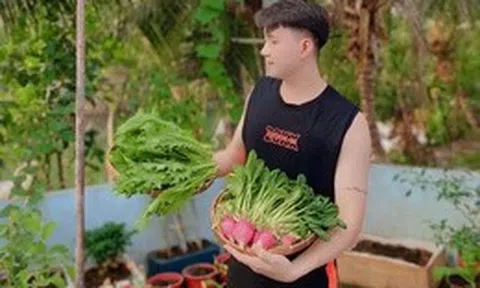Ngỡ ngàng nam công nhân biến khoảng sân trọ 3m2 thành vườn rau quả "lúc lỉu"