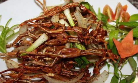 Đặc sản miền Tây có tên dễ gây hiểu lầm, giá hơn triệu đồng mỗi kg