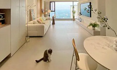 Bất chấp mọi lời khuyên, tôi vẫn lát gạch 600×1200mm cho phòng khách và sau khi ở 6 tháng, đây là điều tôi muốn nói thật