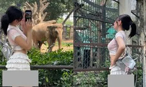 Phản cảm hình ảnh cô gái mặc váy ngắn đến lộ cả vòng 3 để đi Thảo Cầm Viên