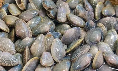 Đặc sản mang tên lạ, mỗi năm chỉ có một mùa, nay dân thành phố ưa chuộng vì hương vị đặc biệt